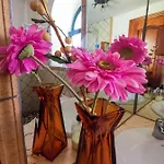 Paradise فيلة